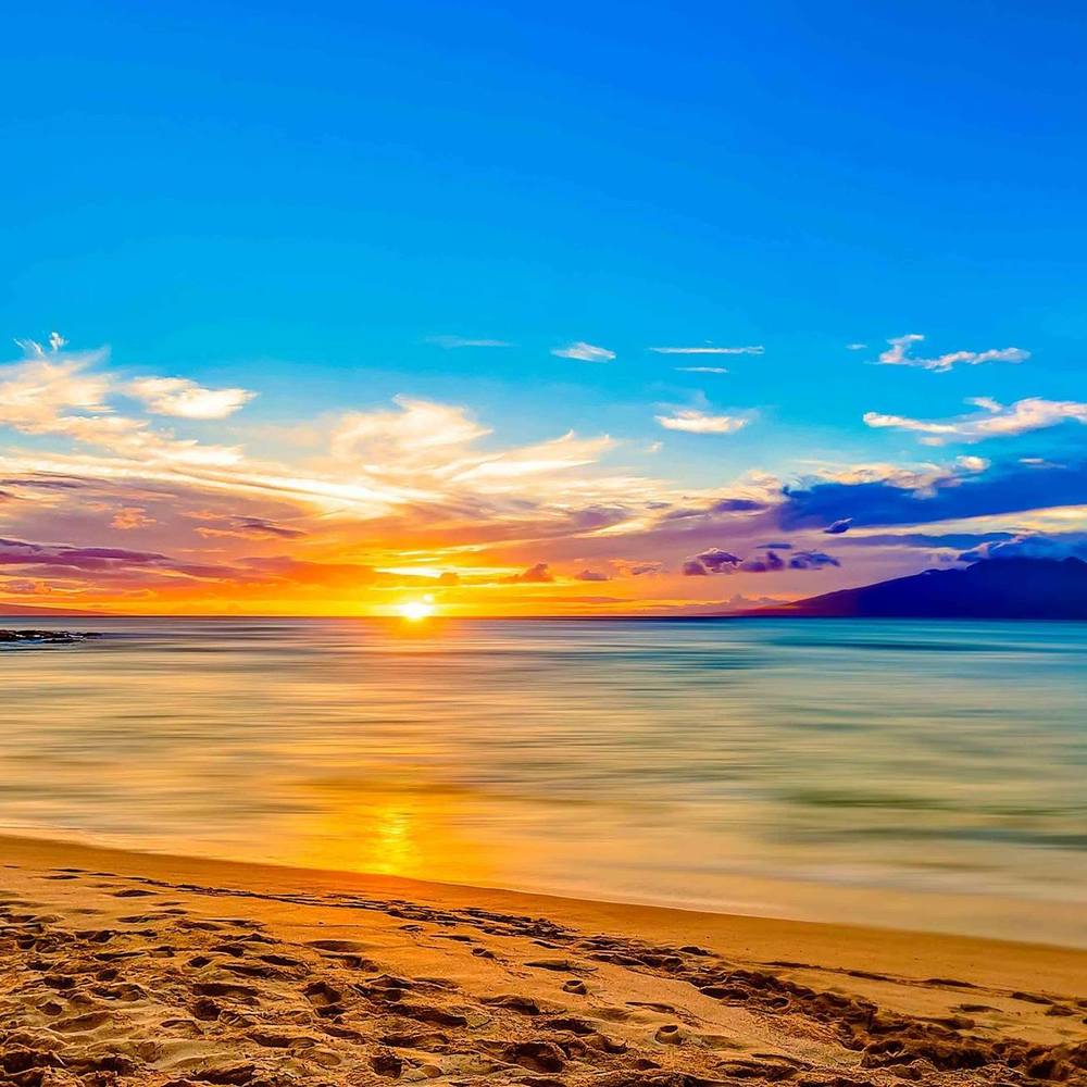 Meet your Posher, Suzanne